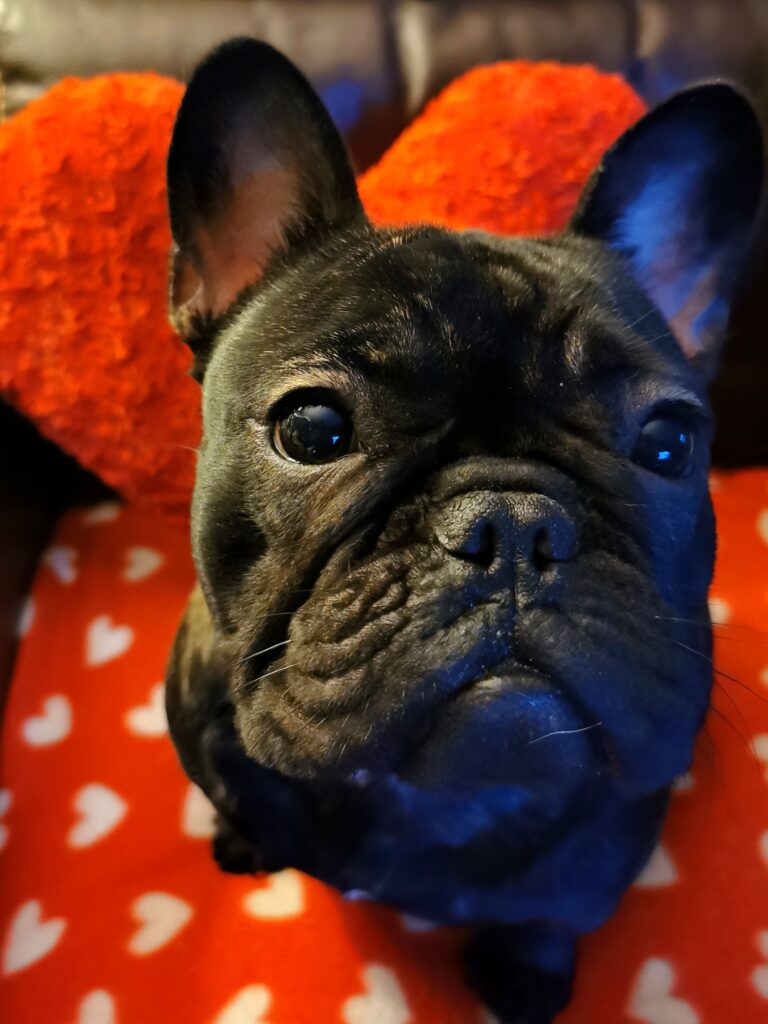 A la Saint-Valentin