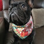 Bandana réversible
