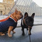 Ensembles cuir
