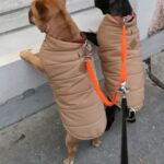 Coupleur paracorde orange